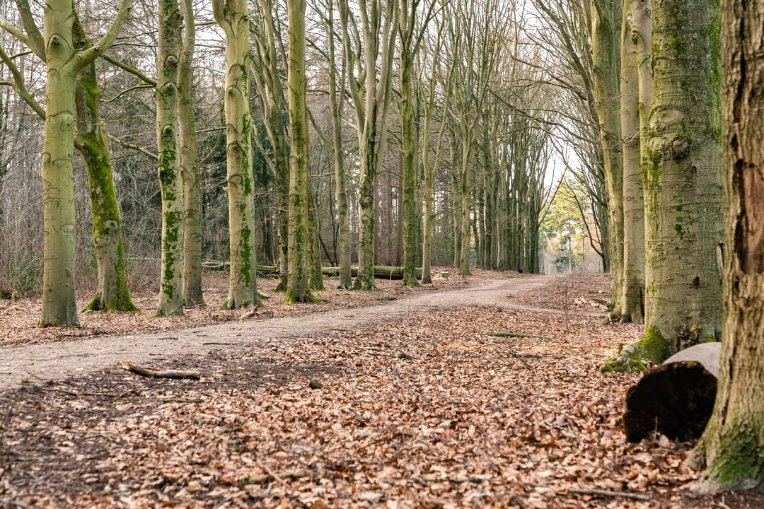 Foto 37 van Zuylenburg 3