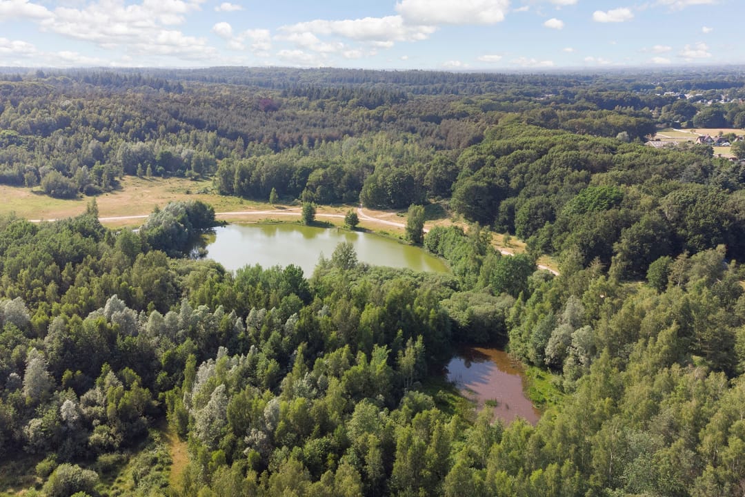 Foto 38 van Zuylenburg 3