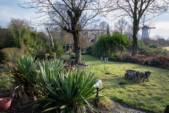 Foto 20 van Provincialeweg West 74