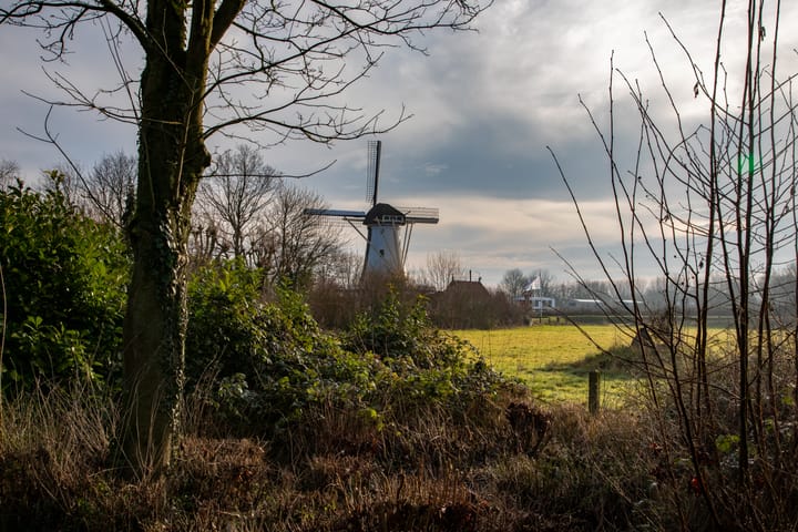 Photo 21 of Provincialeweg West 74