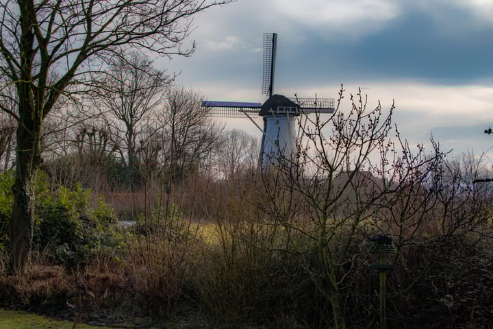 Foto 27 van Provincialeweg West 74