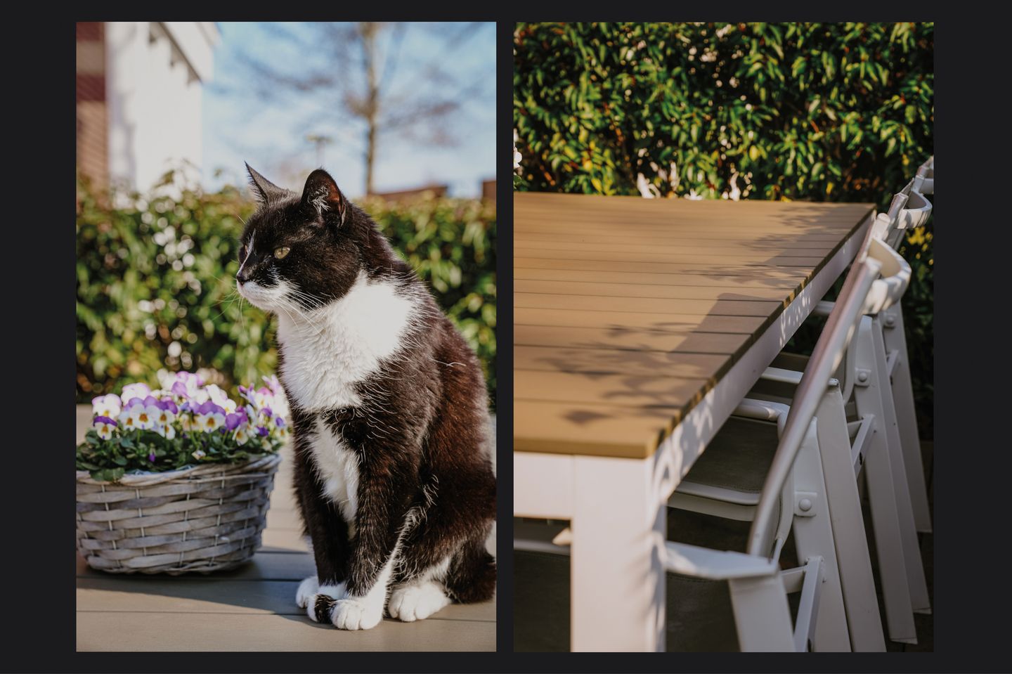 Foto 35 van Kleine Wiel 17