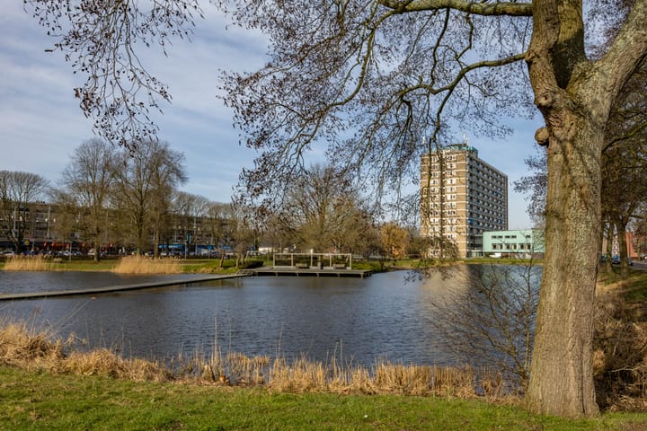 Foto 23 van Vondellaan 390