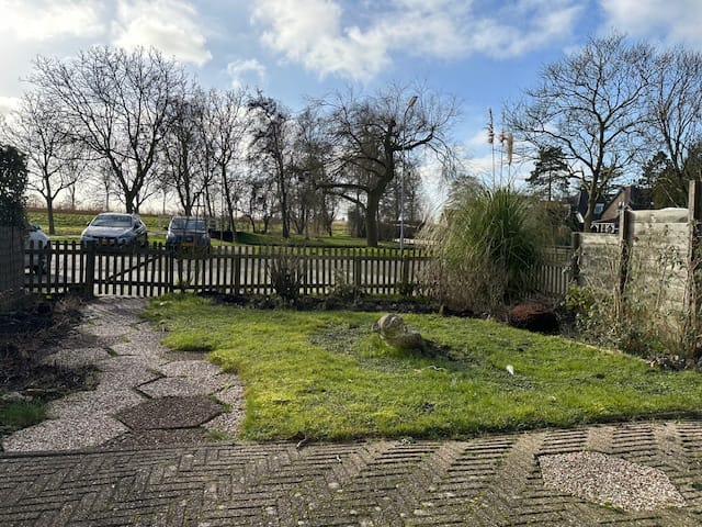 Foto 5 van Oosterweidestraat 136