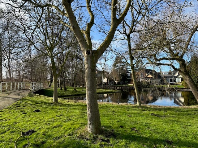 Foto 39 van Oosterweidestraat 136