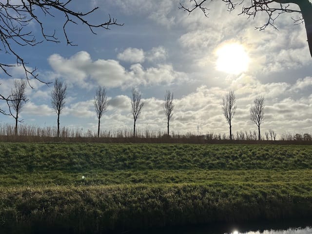 Foto 41 van Oosterweidestraat 136