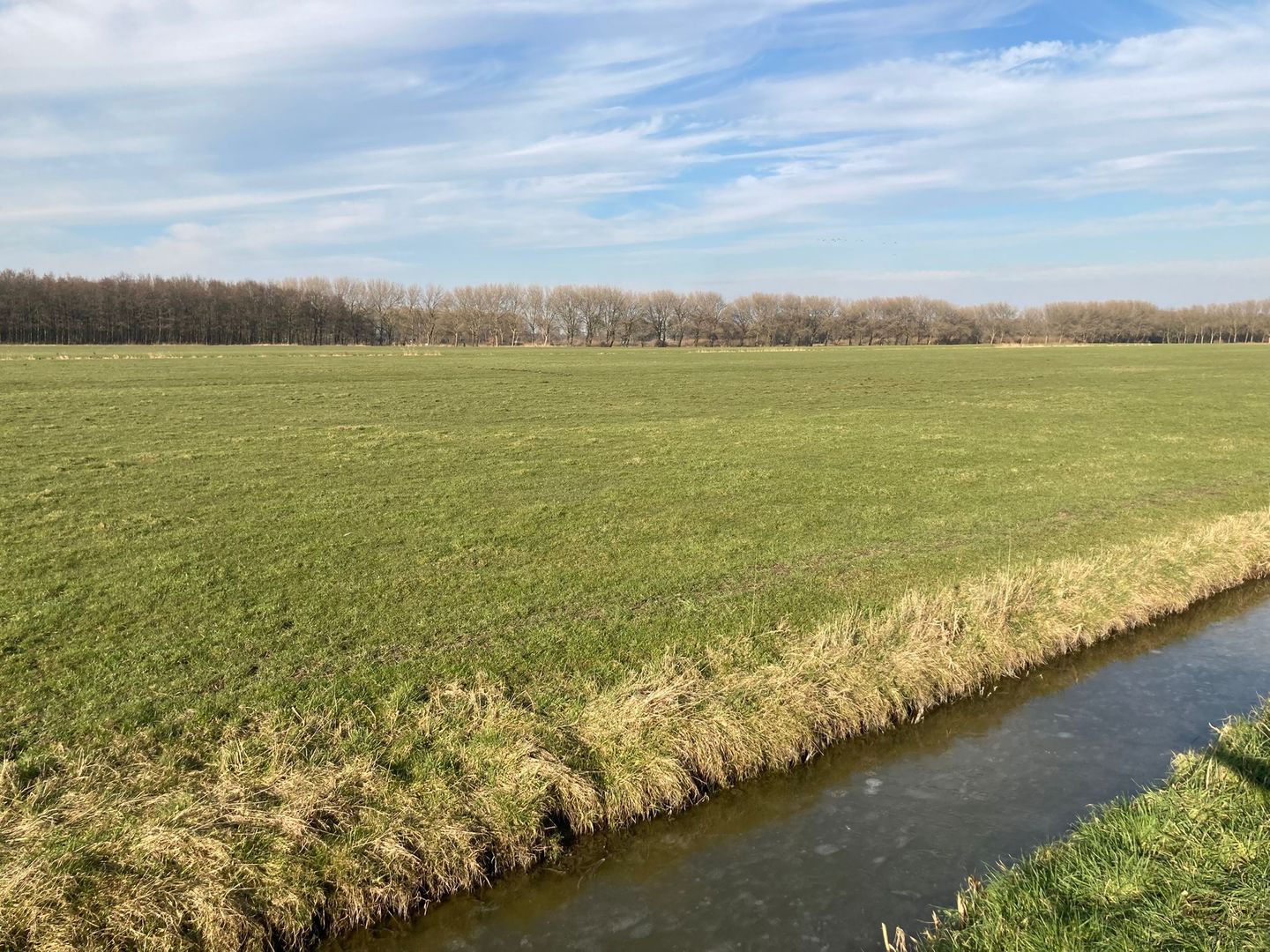 Noordeindseweg 54 - Delfgauw - Afbeelding 1