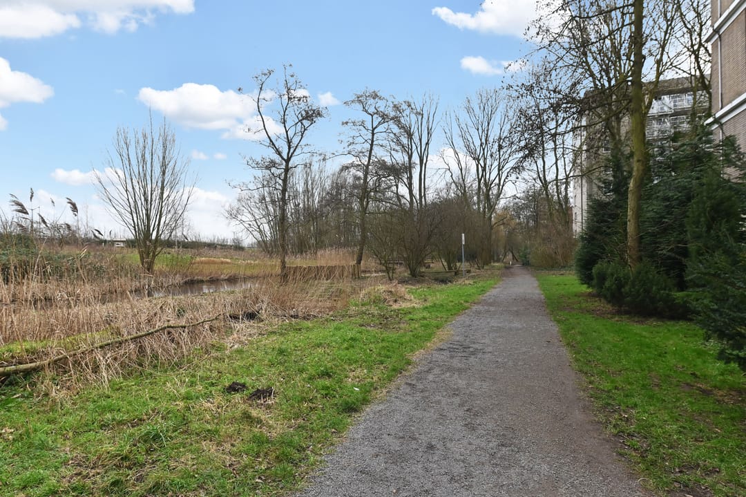 Foto 8 van Isabellaland 1610