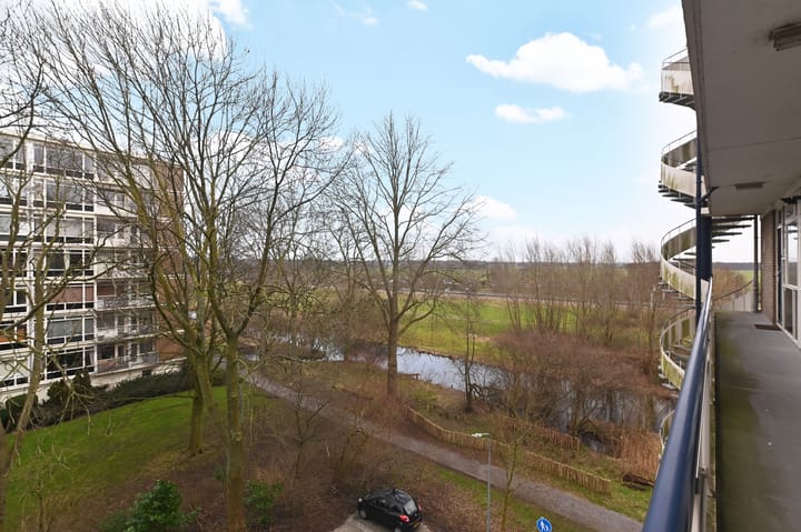 Foto 14 van Isabellaland 1610