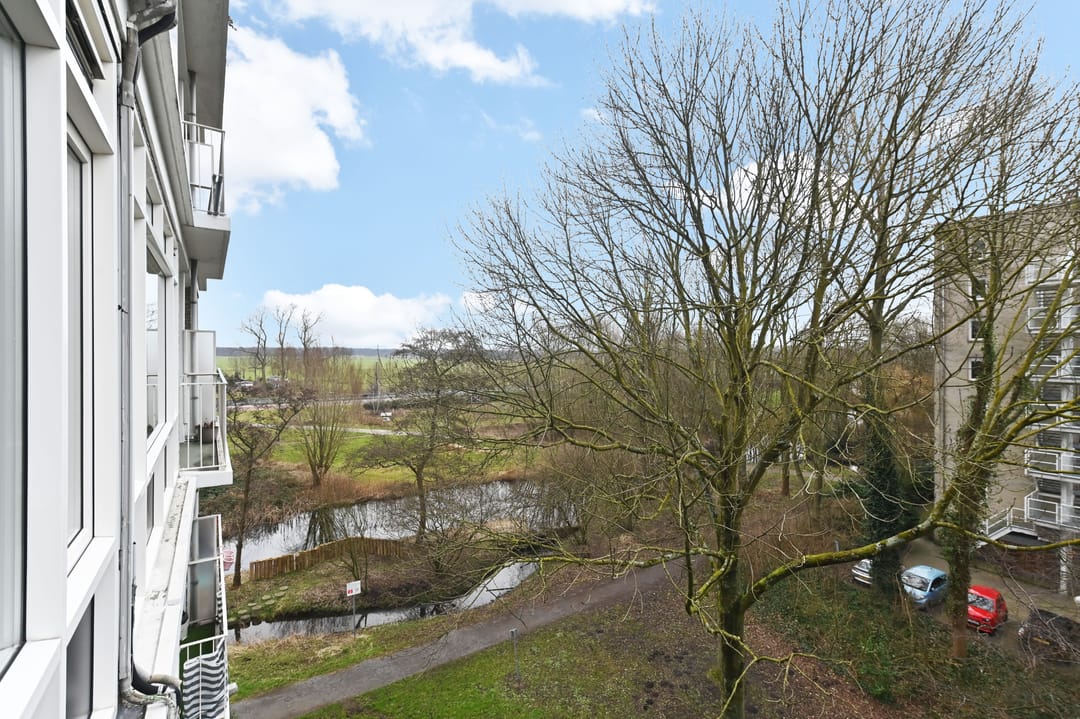 Foto 26 van Isabellaland 1610