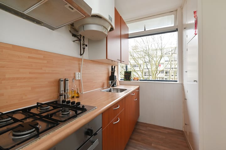 Foto 28 van Isabellaland 1610