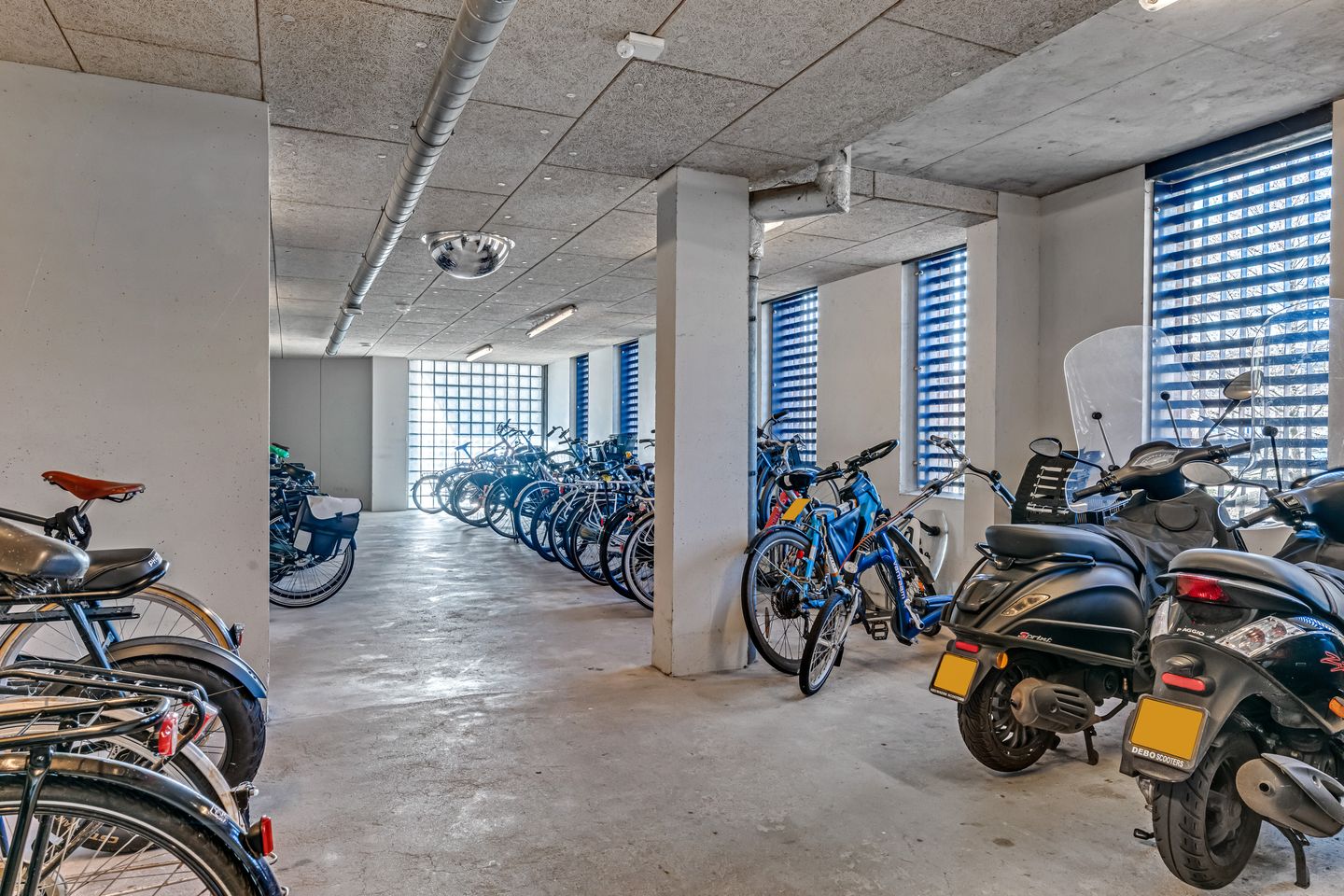 Foto 19 van Sint Janskruidlaan 124