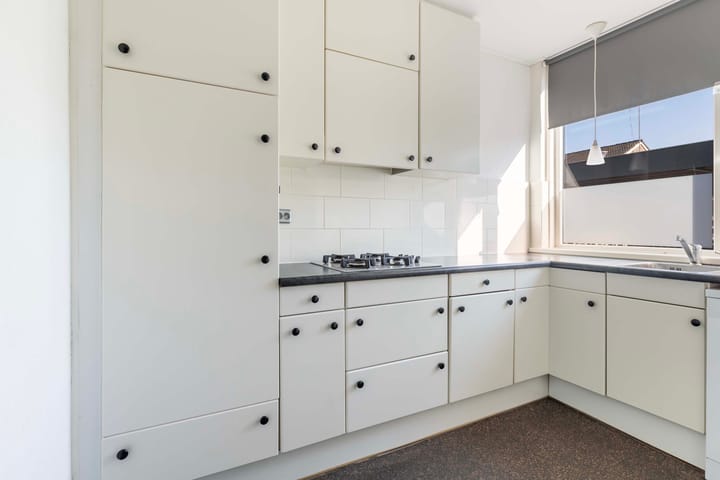 Foto 6 van Schrijnwerkershorst 703