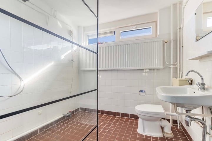 Foto 15 van Schrijnwerkershorst 703