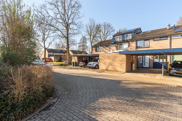 Foto 24 van Schrijnwerkershorst 703