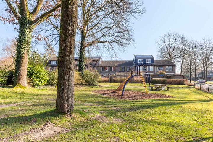 Foto 27 van Schrijnwerkershorst 703