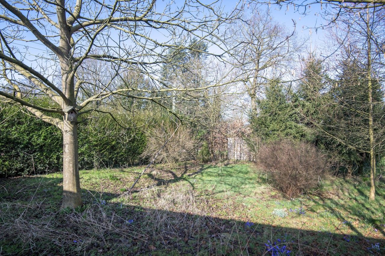 Foto 10 van Dokter Kimmijserlaan 4