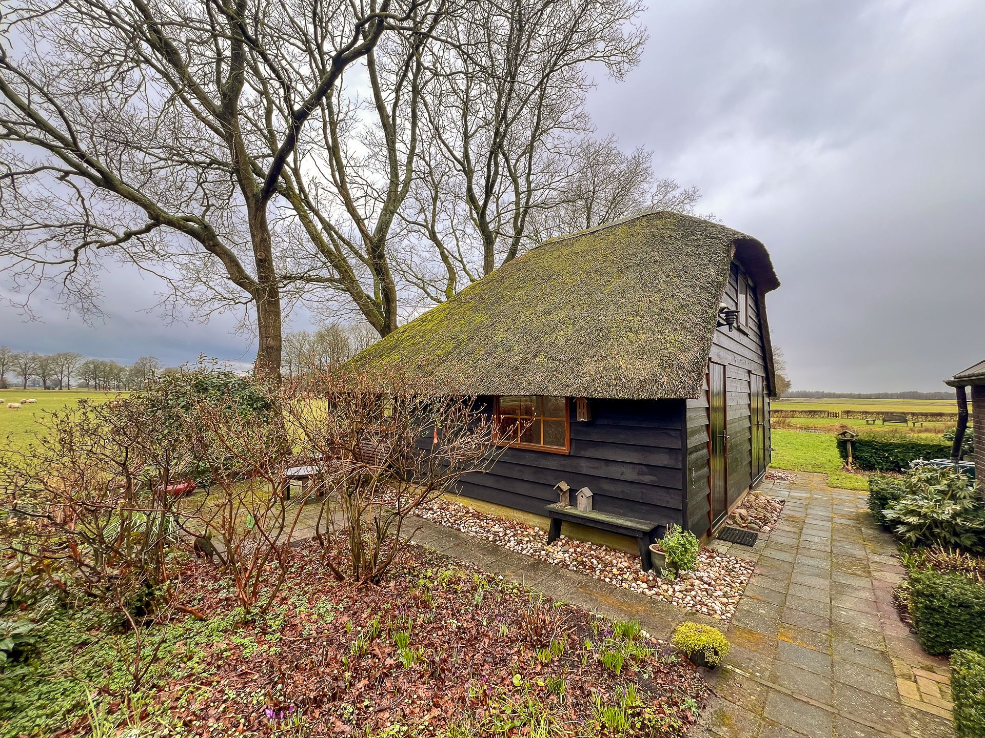 Photo 30 of Looveen 1