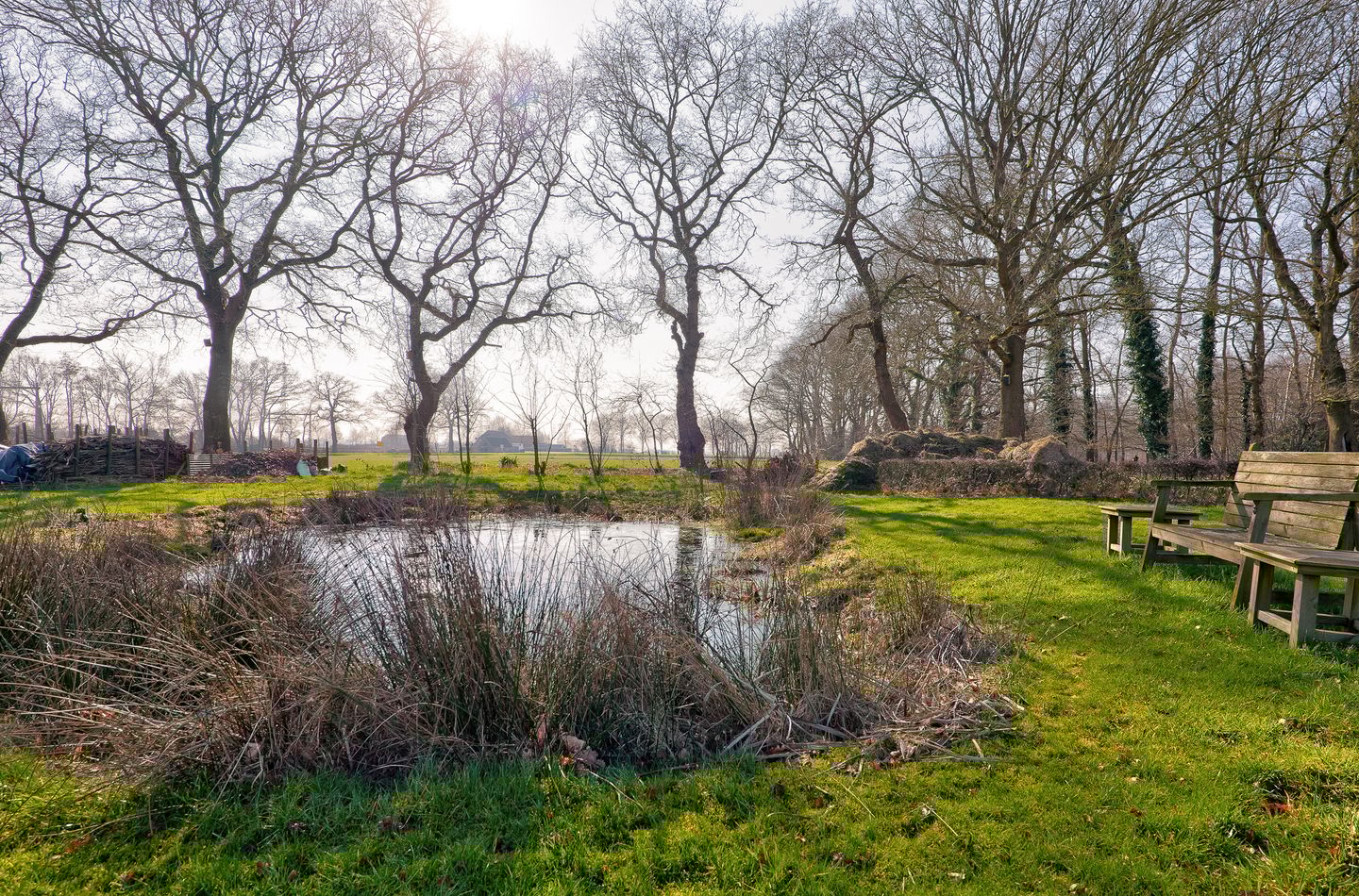 Photo 44 of Looveen 1