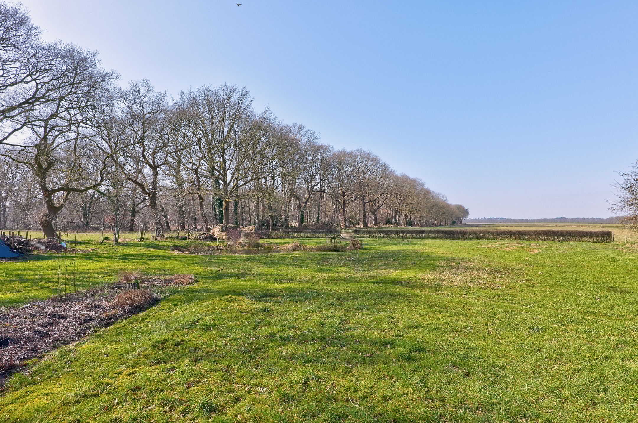 Photo 45 of Looveen 1