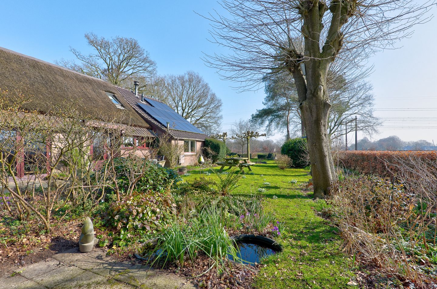 Photo 50 of Looveen 1