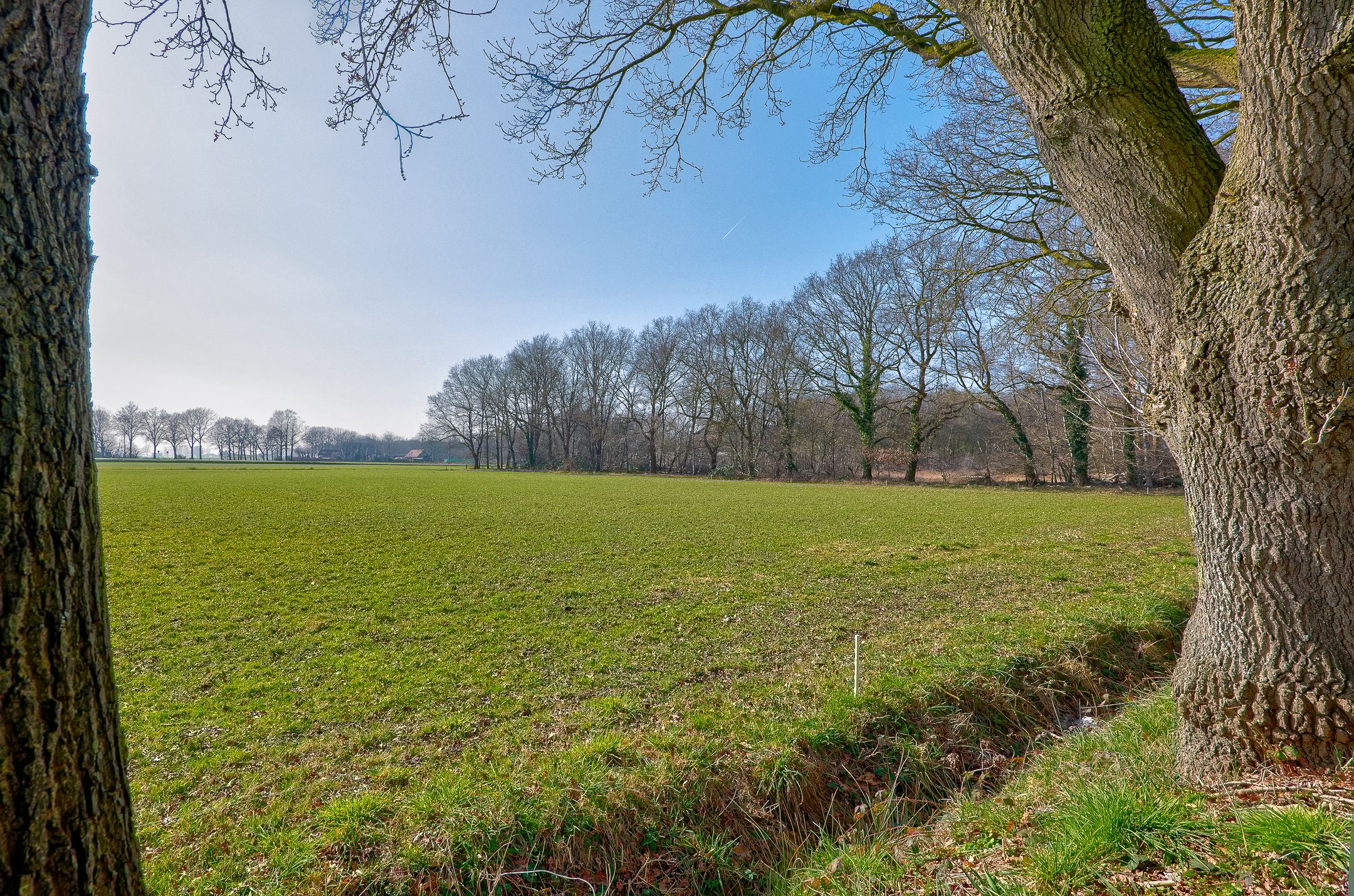 Photo 51 of Looveen 1