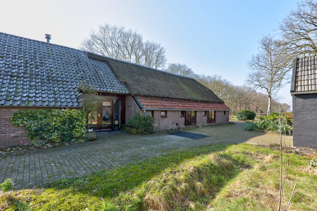 Photo 52 of Looveen 1