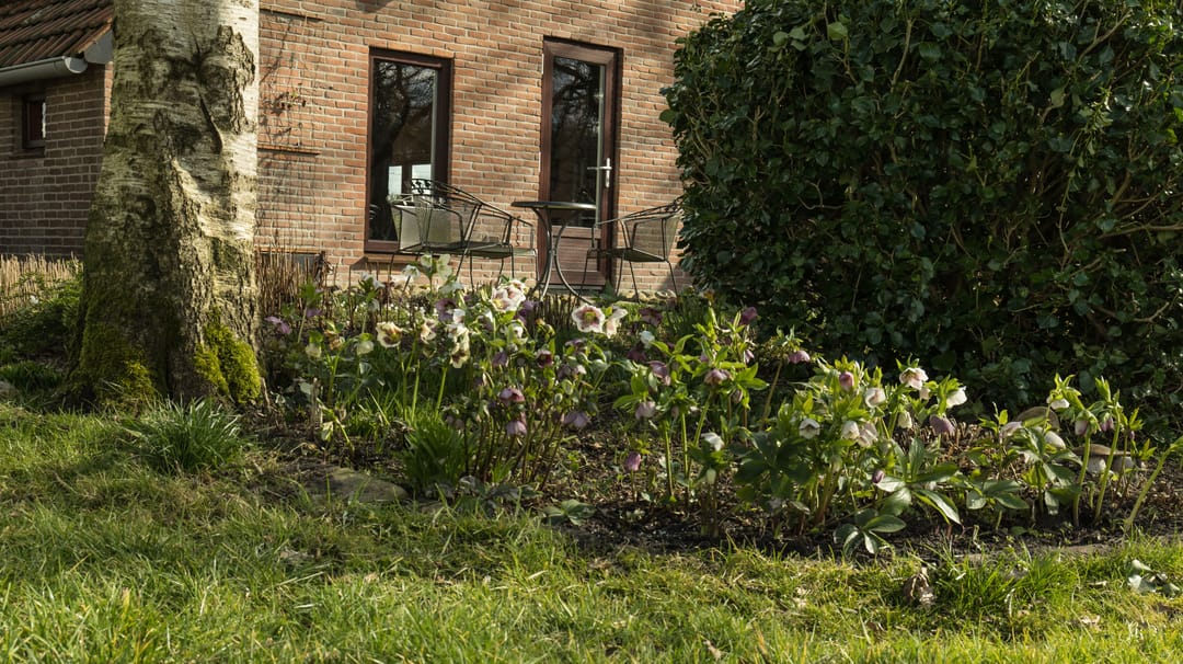 Photo 53 of Looveen 1