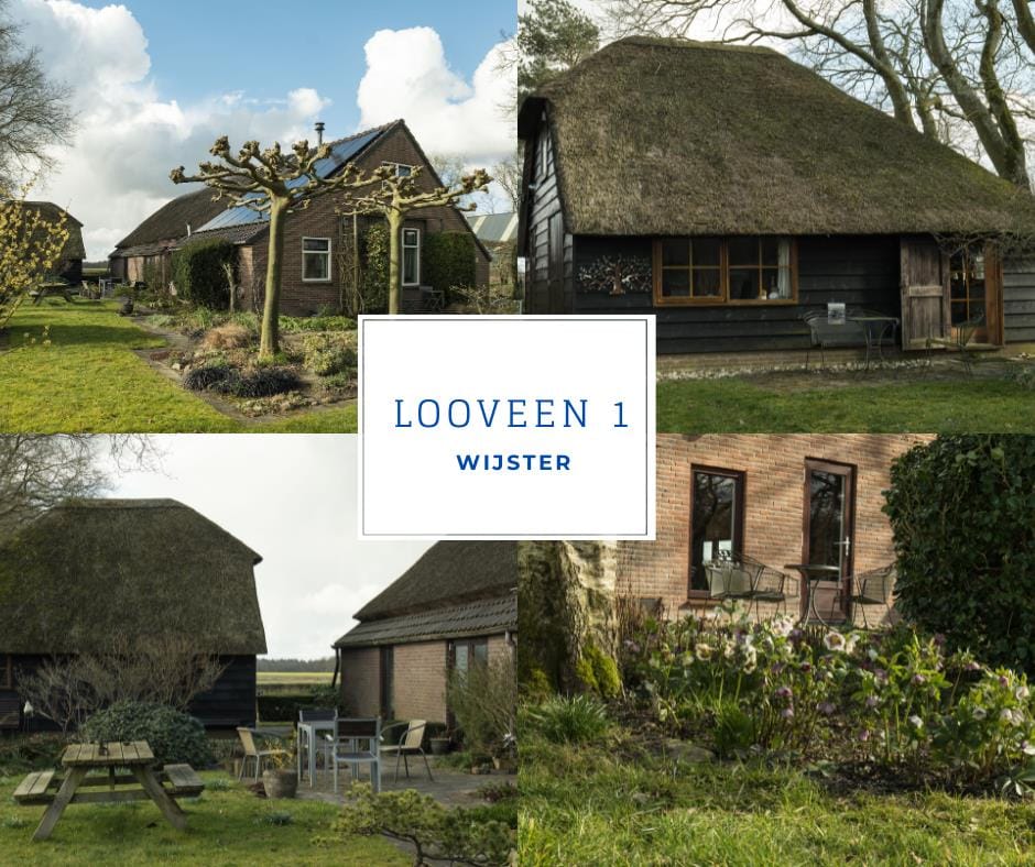 Photo 54 of Looveen 1