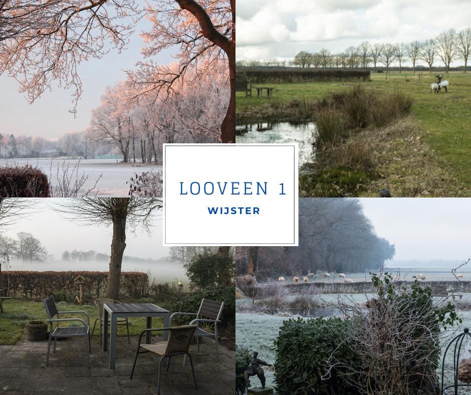 Photo 55 of Looveen 1