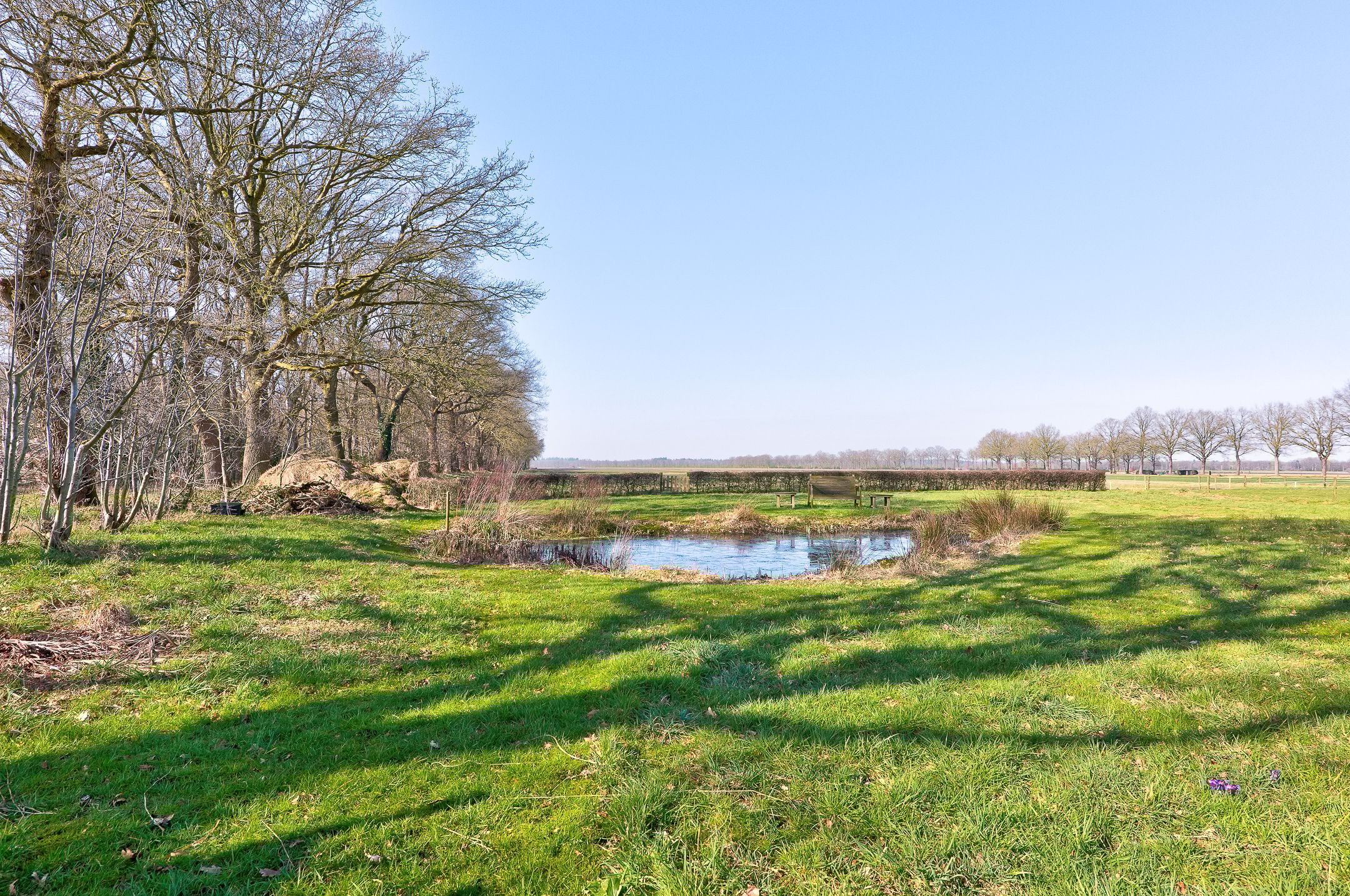 Photo 42 of Looveen 1