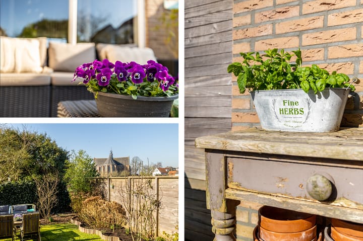 Foto 46 van Zeebies 3