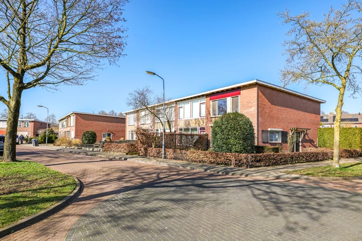 Foto 5 van van Homoetstraat 1