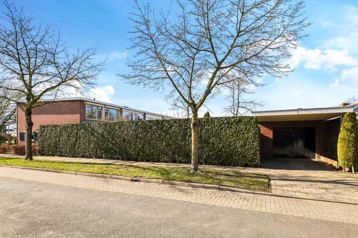 Foto 6 van van Homoetstraat 1