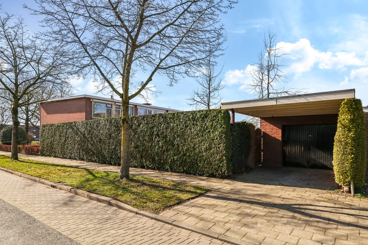 Foto 46 van van Homoetstraat 1