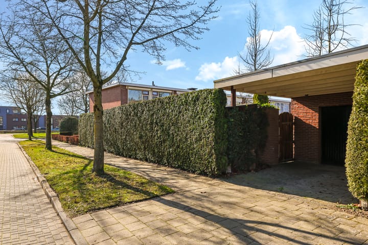 Foto 47 van van Homoetstraat 1