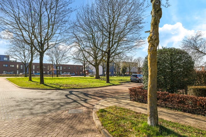 Foto 50 van van Homoetstraat 1