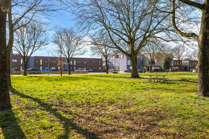 Foto 51 van van Homoetstraat 1