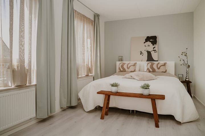 Foto 19 van Handvormer 18