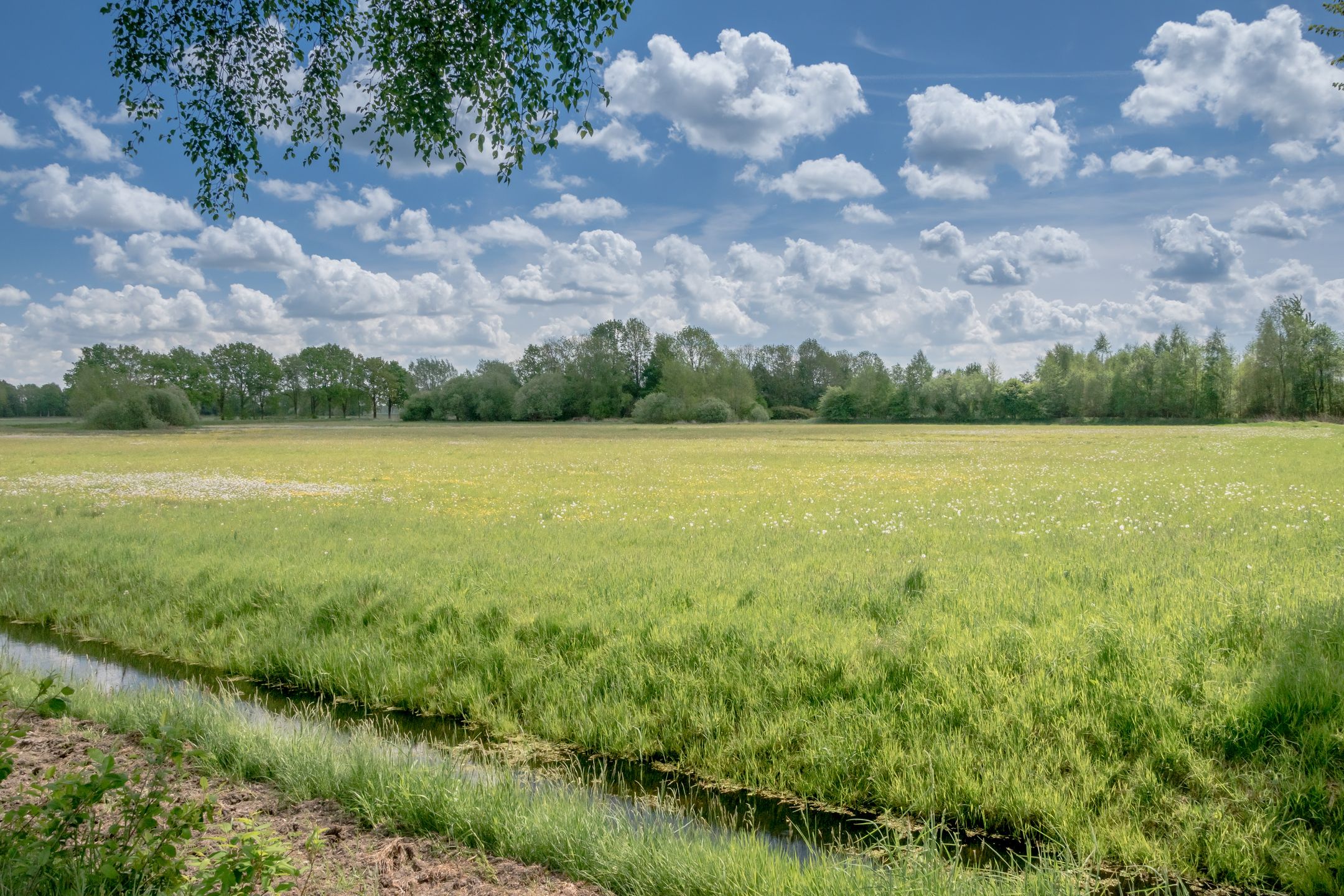 De Broeken, Wittelte, 7986PC, Drenthe, Nederland