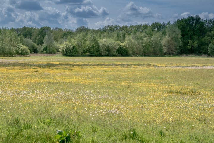 Foto 3 van De Broeken