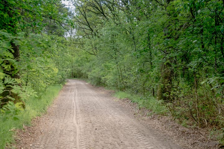 Foto 9 van De Broeken