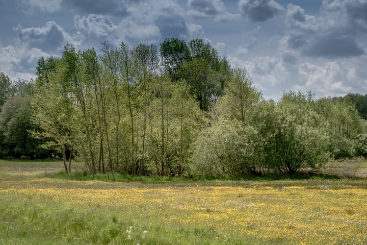 Foto 10 van De Broeken