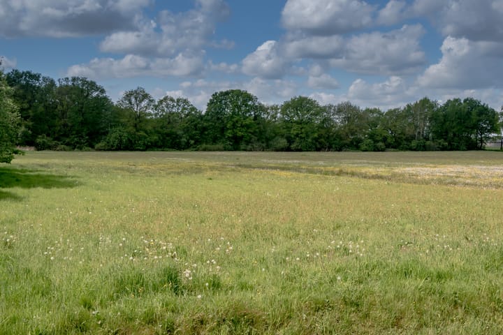 Foto 11 van De Broeken