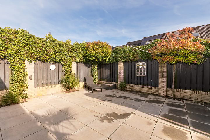 Photo 36 of Basalt 13