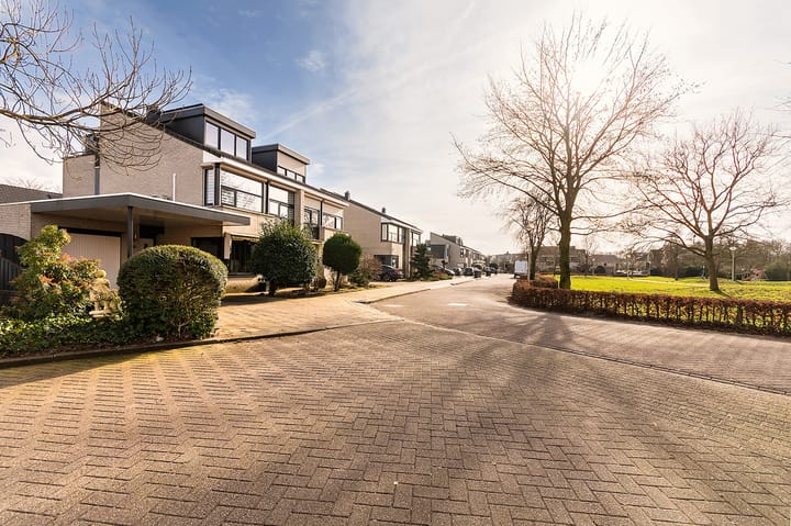 Photo 40 of Basalt 13