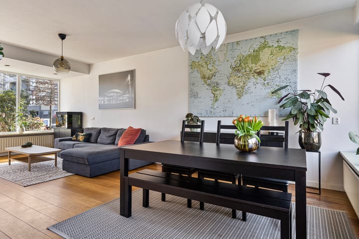 Foto 3 van Regulus 20