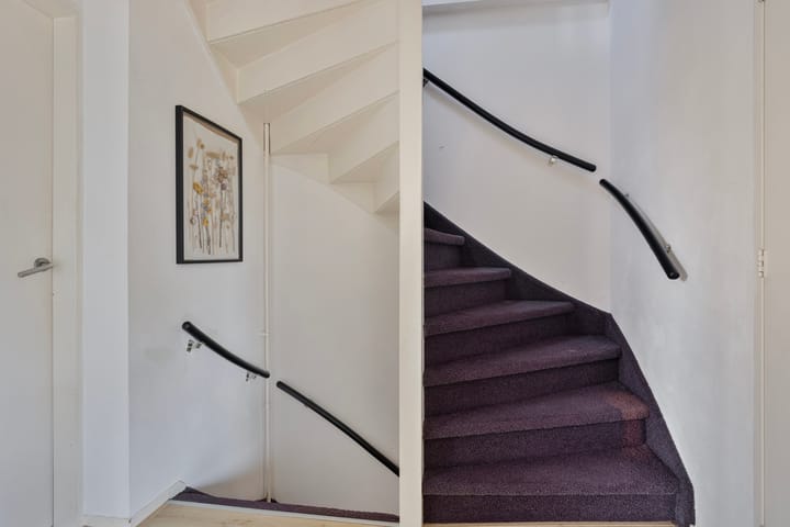 Foto 10 van Regulus 20