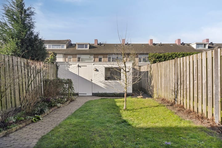 Foto 20 van Regulus 20