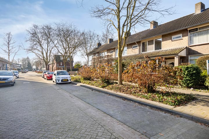 Foto 24 van Regulus 20